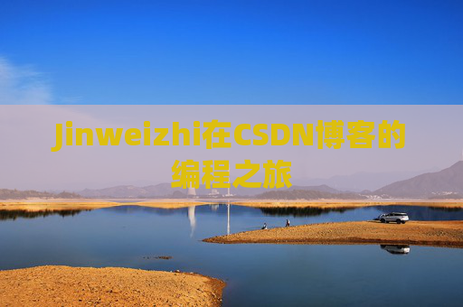 Jinweizhi在CSDN博客的编程之旅